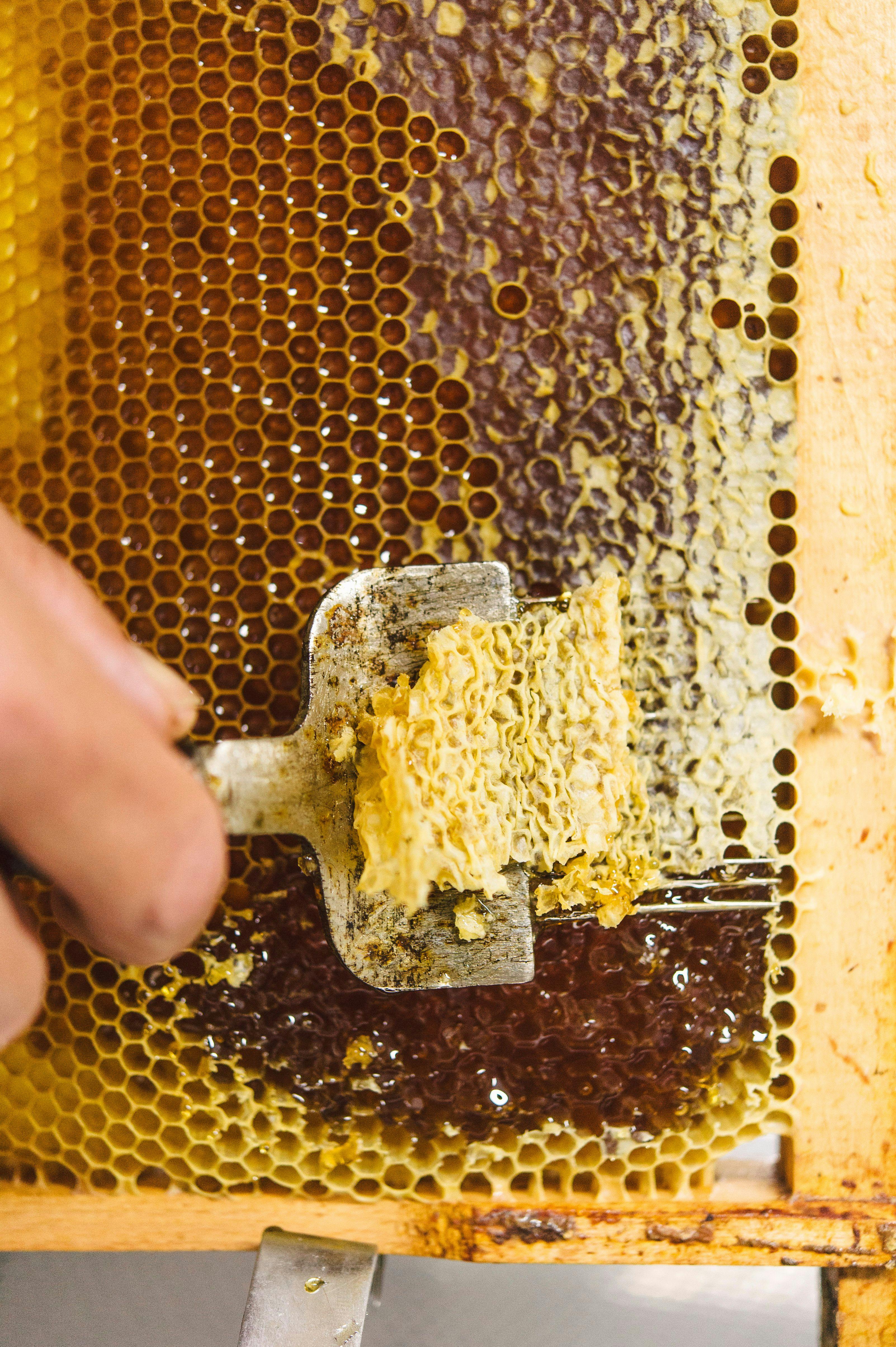 Knocking off the honeycomb